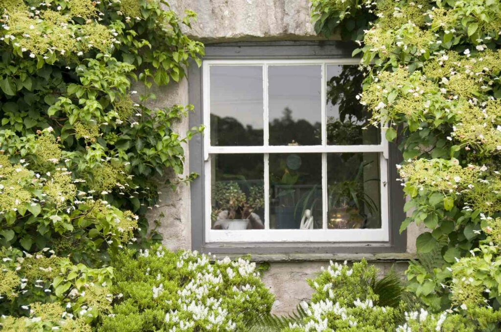  - Here are 10 window designs that will add style to your home