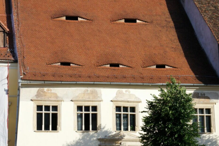  - Eyebrow Windows: What Are They?